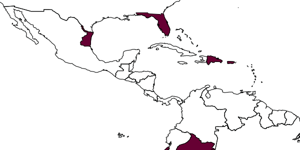 map of Eretmocerus portoricensis     Dozier, 1932